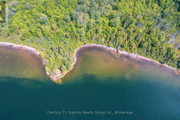 Close-up aerial shot of the lake's shoreline, showcasing trees and water edge. - 2368 Essonville Line Road, Highlands East