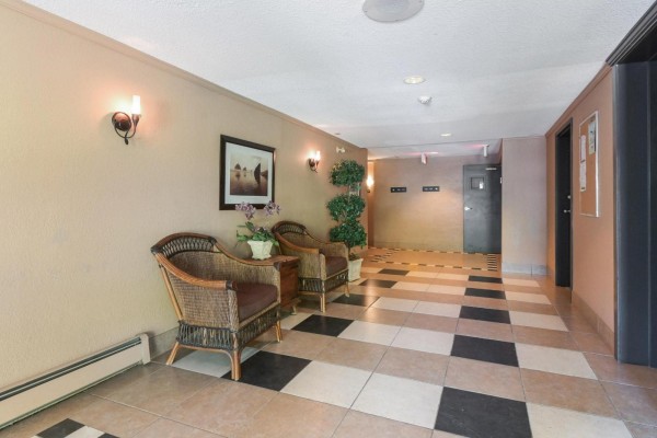 237 2700 Mccallum Road, Abbotsford, BC V2S6X9 Photo 5