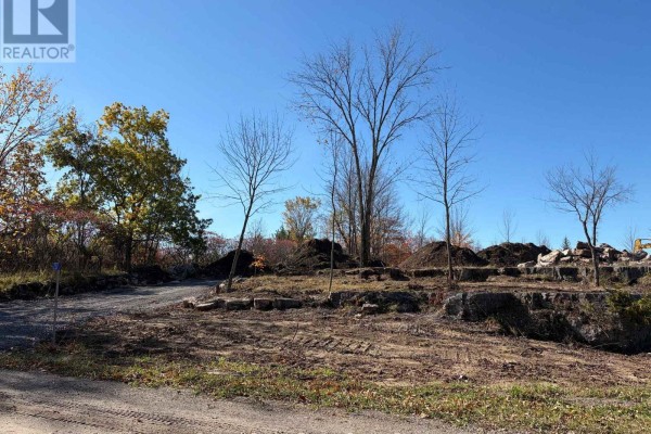 237 Tower Road, Madoc, ON K0K1Y0 Photo 2