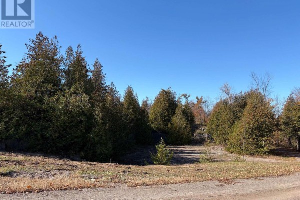 237 Tower Road, Madoc, ON K0K1Y0 Photo 4