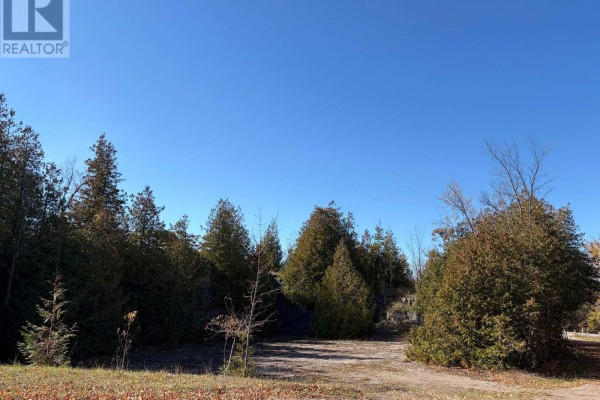 237 Tower Road, Madoc, ON K0K1Y0 Photo 5