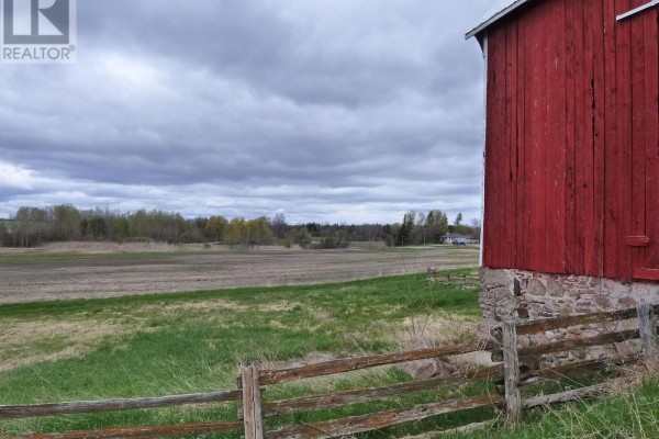 23702 Kennedy Road, Georgina, ON L0E1R0 Photo 4