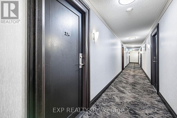 Living room - 238 - 35 Viking Lane, Toronto, ON M9B0A2 Photo 4