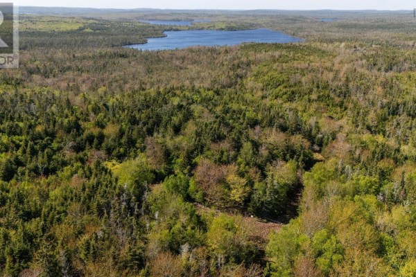 238 Nelson Drive, East Lawrencetown, NS B2Z1N9 Photo 5