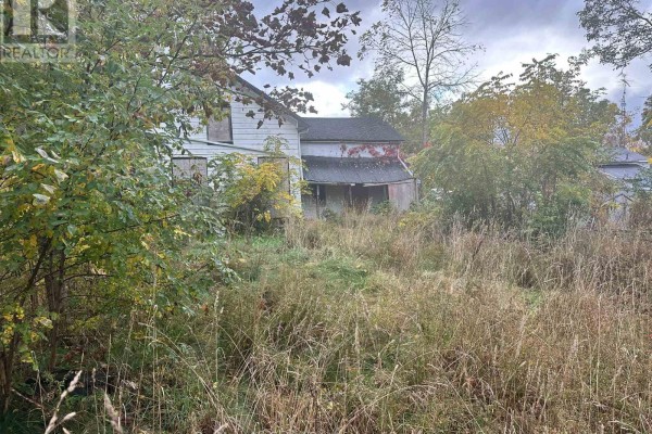 2385 Highway 7 Highway, Kawartha Lakes, ON K0M2J0 Photo 5