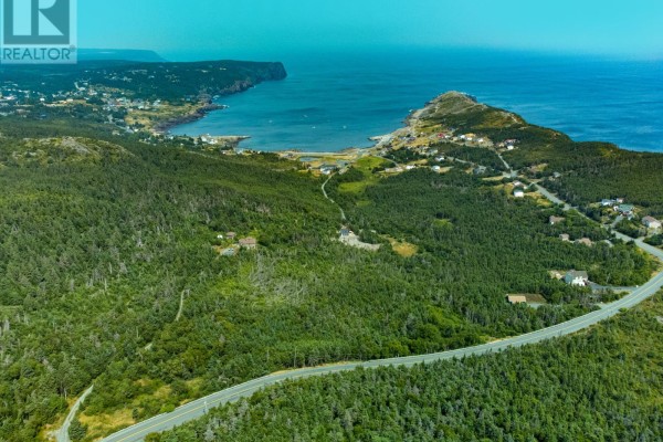 239-249 Windgap Road, Flatrock, NL A1K1C3 Photo 4