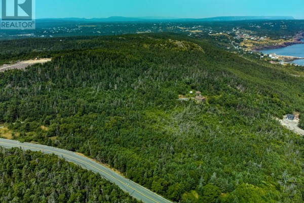 239-249 Windgap Road, Flatrock, NL A1K1C3 Photo 5