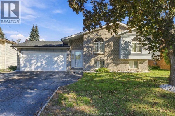 Laundry room - 239 Bouffard Road, Lasalle, ON N9J1E9 Photo 4