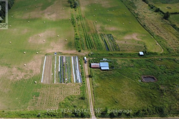 239 Concession 11w, Trent Hills, ON, photo 3