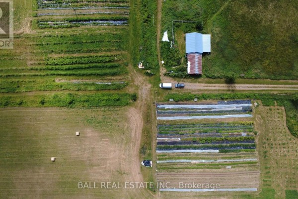 Aerial view of farmland with crop rows, a pond, and a road bordering the property. - 239 Concession 11w, Trent Hills