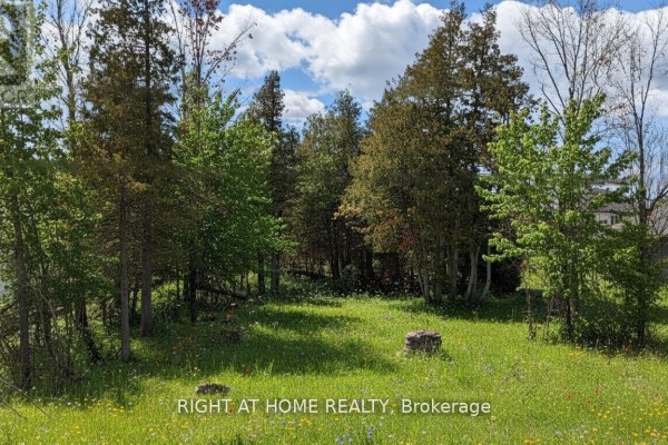 239 Front Street W, Kawartha Lakes, ON K0M1A0 Photo 2