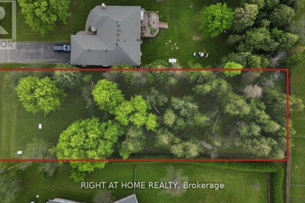 239 Front Street W, Kawartha Lakes, ON K0M1A0 Photo 3