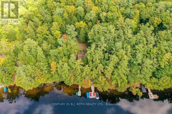 Aerial view of a cottage surrounded by dense trees on the edge of a lake. - 24 - 1213 Camp Jackson Road, Muskoka Lakes