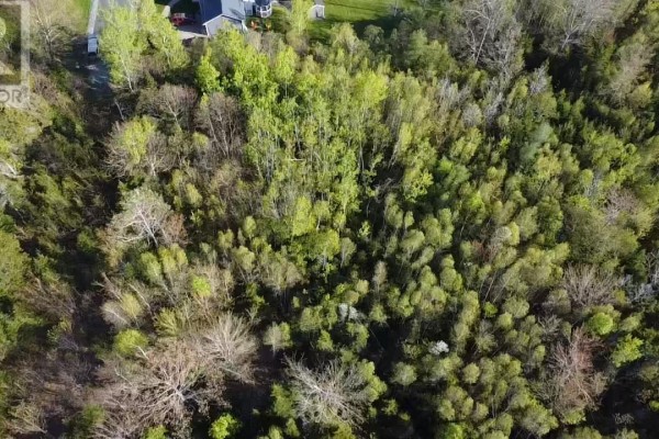 24-1 Forest Drive Extension, Pictou, NS B0K1H0 Photo 5