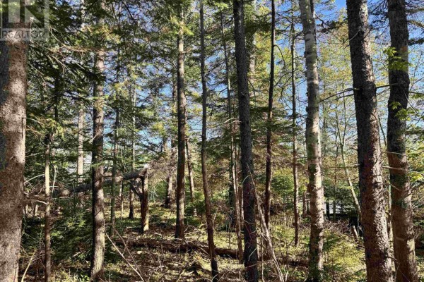 24-2 Forest Drive Extension, Pictou, NS B0K1H0 Photo 4