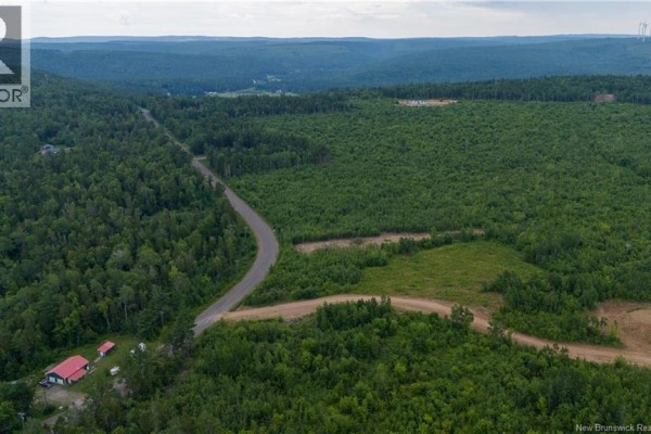 Aerial view of undeveloped land with mature trees and a paved road frontage - 24-4 Route 895, Anagance