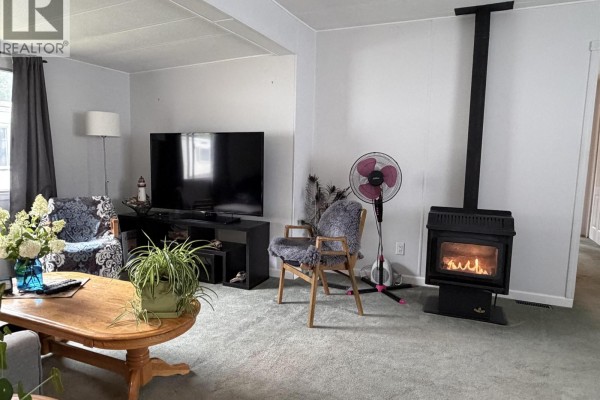 Living room featuring a television, wood-burning stove, patterned armchair, and a fan. - 24 4625 Graham Avenue, Terrace