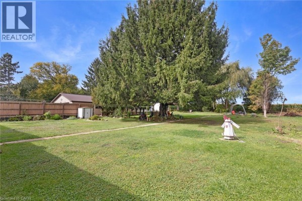 Spacious backyard with mature trees, grass, and outdoor decorations. - 24 Alpha Street, Delhi