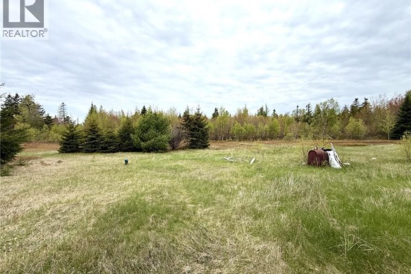 24 Chemin Frigault, Losier Settlement, NB E1X4V6 Photo 4