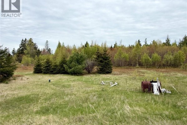 24 Chemin Frigault, Losier Settlement, NB E1X4V6 Photo 5