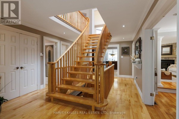 Family room - 24 Chip Court, Richmond Hill, ON L4C9G3 Photo 3