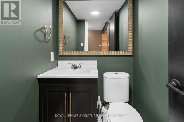 Dark vanity, white sink, toilet, and decorative mirror in a modern bathroom - 24 Davidson Street Cambridge