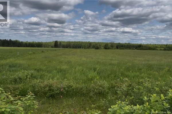 24 Harrington Road, Steeves Mountain, NB E1G3X3 Photo 5