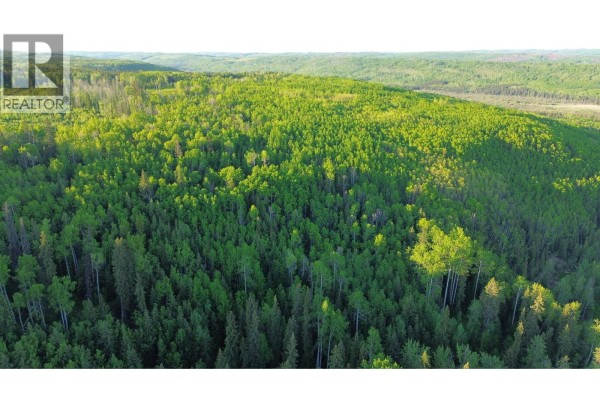 24 Inga Lake Road, Wonowon, BC V0C2N0 Photo 2
