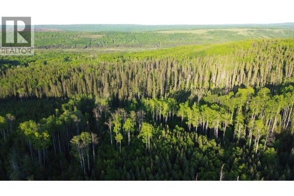 24 Inga Lake Road, Wonowon, BC V0C2N0 Photo 4