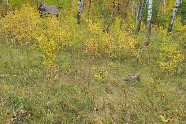 24 Lake Forest Drive, Gimli Rm, MB R0C1B0 Photo 4