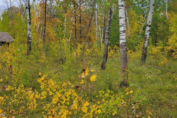 24 Lake Forest Drive, Gimli Rm, MB R0C1B0 Photo 5