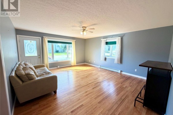 Living room with light brown hardwood floors, grey walls, a sofa, and large windows. - 24 Millennium Drive, Kippens