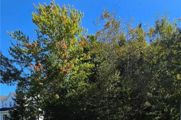 24 Westminster Drive, Quispamsis, NB, photo 3