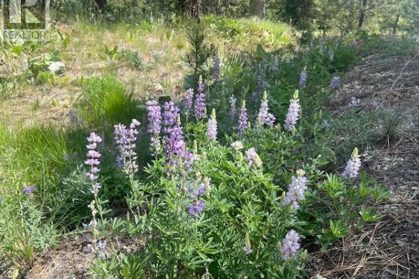 240 Sasquatch Trail Lot# 9, Osoyoos, BC, photo 3