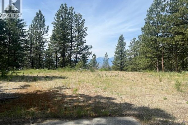 240 Sasquatch Trail Lot# 9, Osoyoos, BC V0H1V6 Photo 4