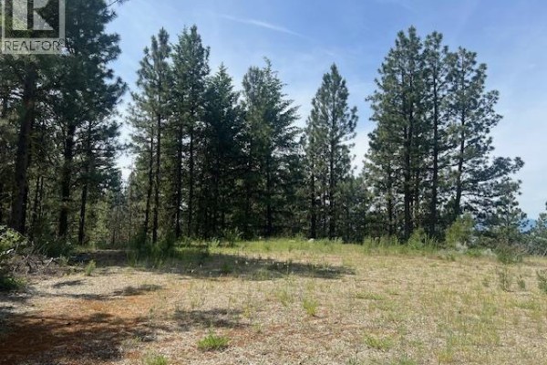 240 Sasquatch Trail Lot# 9, Osoyoos, BC V0H1V6 Photo 5