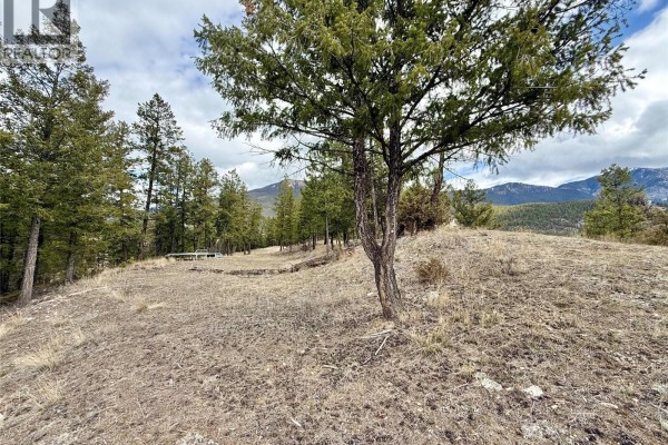 2400 Kootenay Rd No 3 Road Lot# 2, Windermere, BC V0B1L1 Photo 4