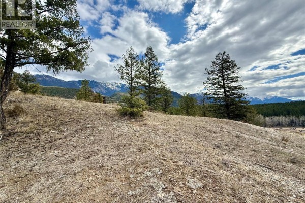2400 Kootenay Rd No 3 Road Lot# 2, Windermere, BC V0B1L1 Photo 5