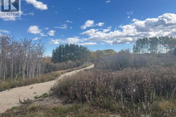 Gravel walking path winds through fields of tall grass and scattered trees. - 24012 Aspen Drive, Rural Rocky View County