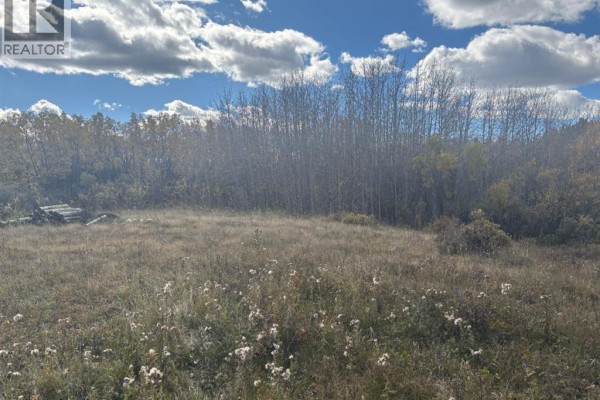 Grassy field with scattered wildflowers and a backdrop of tall, thin trees. - 24012 Aspen Drive, Rural Rocky View County