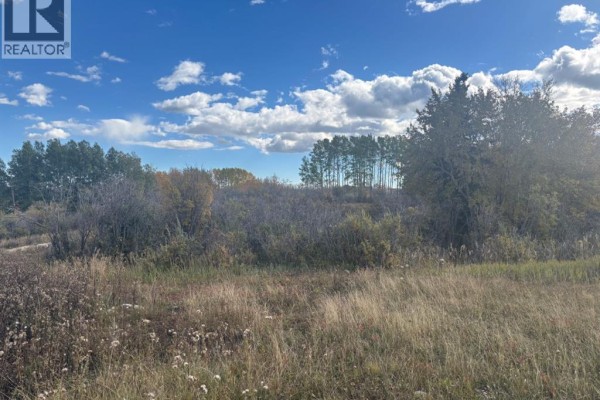 View of a field with dry grass and vegetation, with trees on a distant hill. - 24012 Aspen Drive, Rural Rocky View County