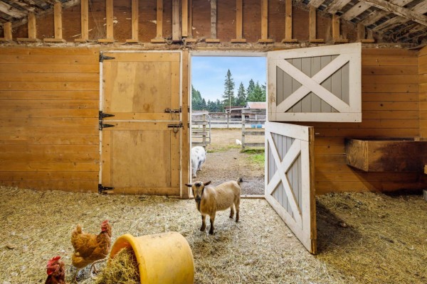 24061 55 Avenue, Langley, BC V2Z2N7 Photo 5