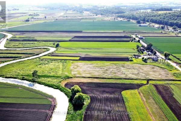 241 Devald Road, Bradford West Gwillimbury, ON L3Z2A6 Photo 4