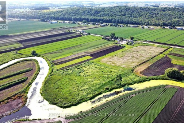 241 Devald Road, Bradford West Gwillimbury, ON L3Z2A6 Photo 5