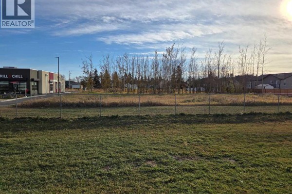 2412 20th Street, Didsbury, AB T0M0A2 Photo 4
