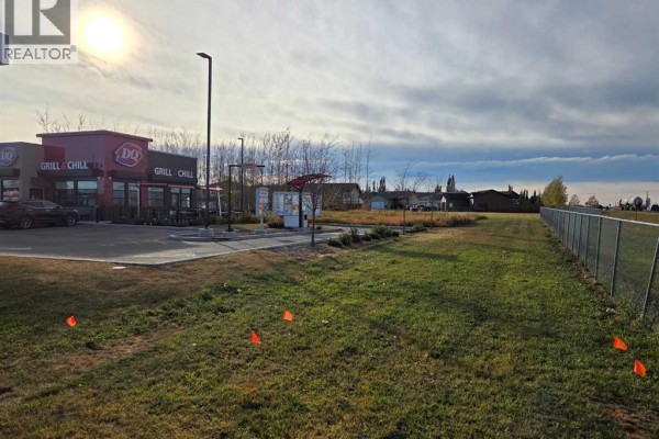 2412 20th Street, Didsbury, AB T0M0A2 Photo 5