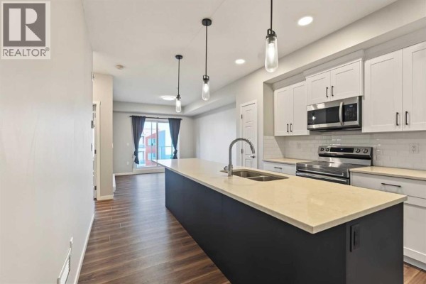 Laundry room - 2415, 19489 Main Street Se, Calgary, AB T3M3J3 Photo 4