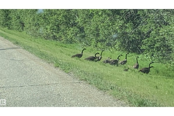 2417a Twp. Rd. 530, Rural Parkland County, AB, photo 3