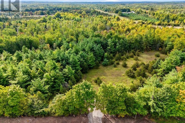 Expansive aerial view of rolling hills covered with mixed pine and deciduous forests. - 2421 14th Line East Acres E, Trent Hills