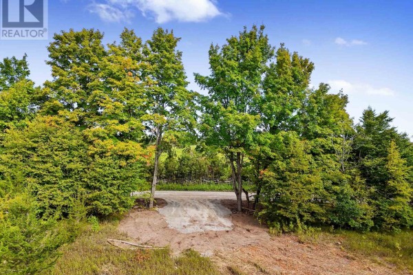A short gravel driveway is visible through an opening in the lush green trees. - 2421 14th Line East Acres E, Trent Hills